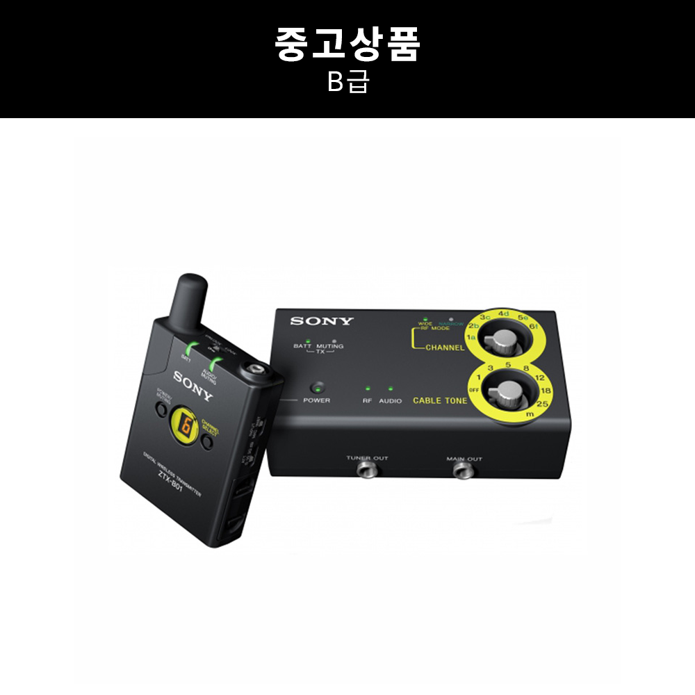 [중고] 소니 DWZ-B30GB 기타 베이스 전용 무선마이크 세트 2.4GHz 송수신기 패키지
